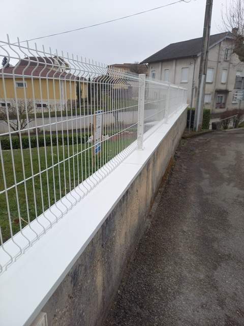 3bb5d9bc f47a 4c62 bbf2 bebb5ef17ba7