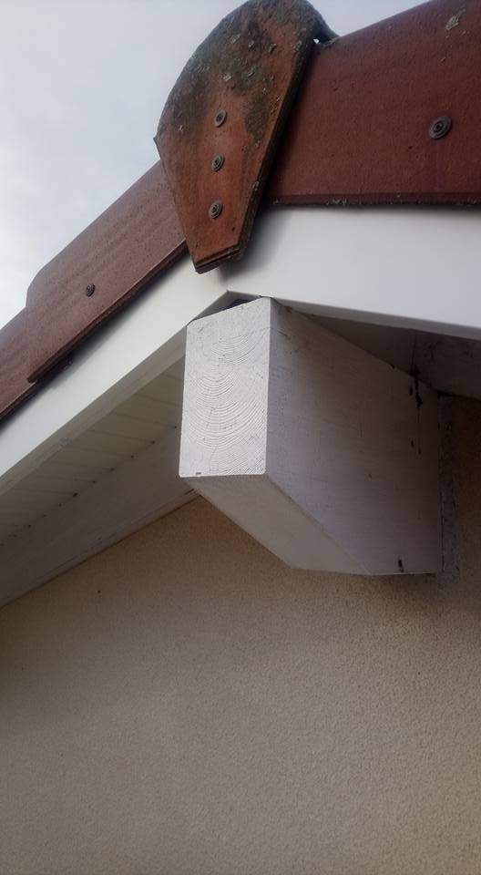 510309878 23888171007516547 957359629888656606 n